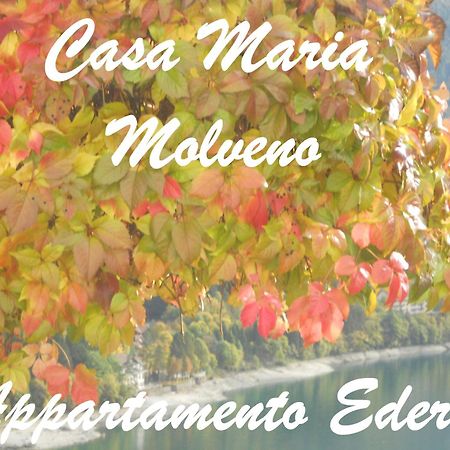 Casa Maria Apartment Molveno Bilik gambar