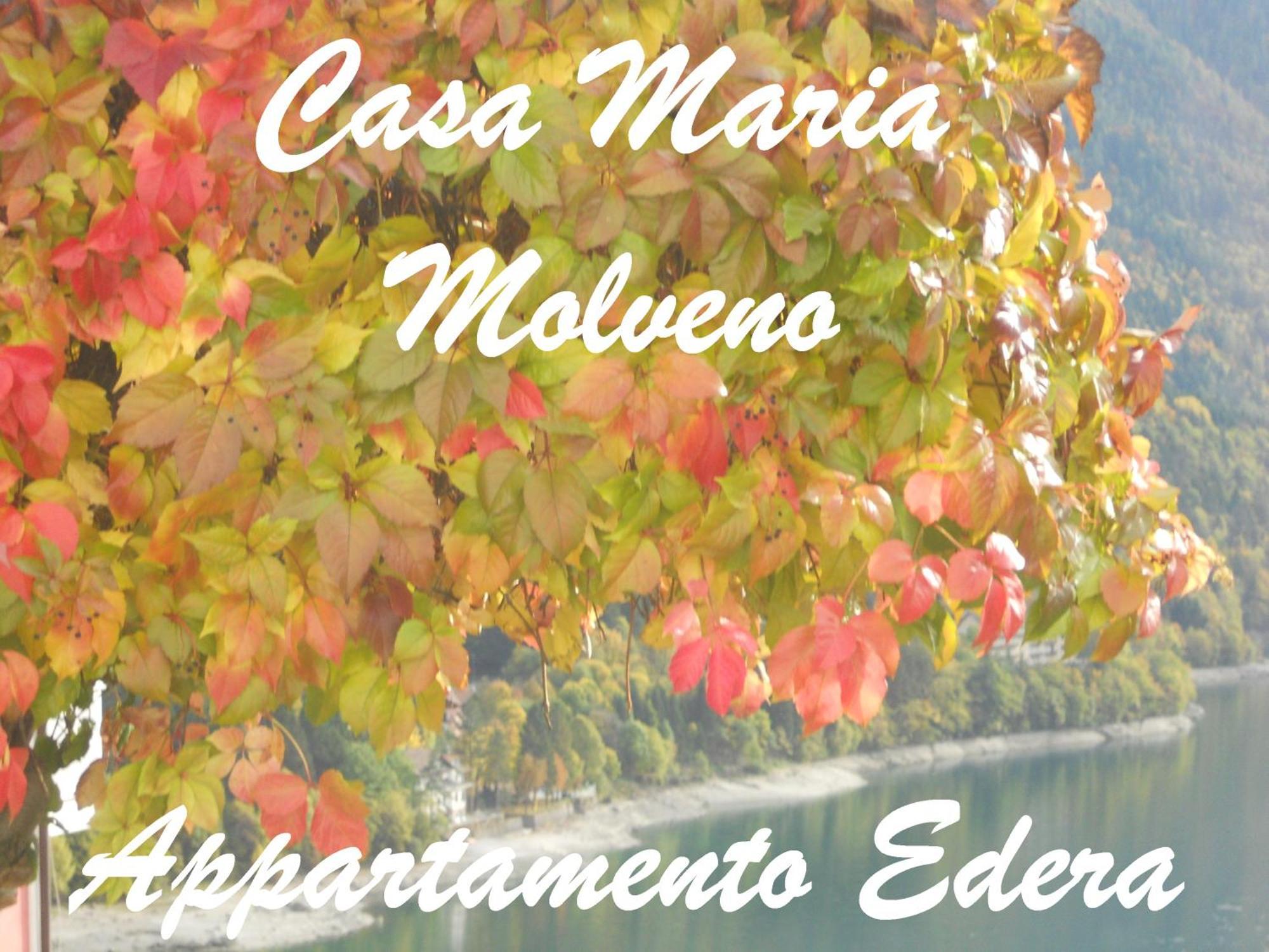 Casa Maria Apartment Molveno Bilik gambar
