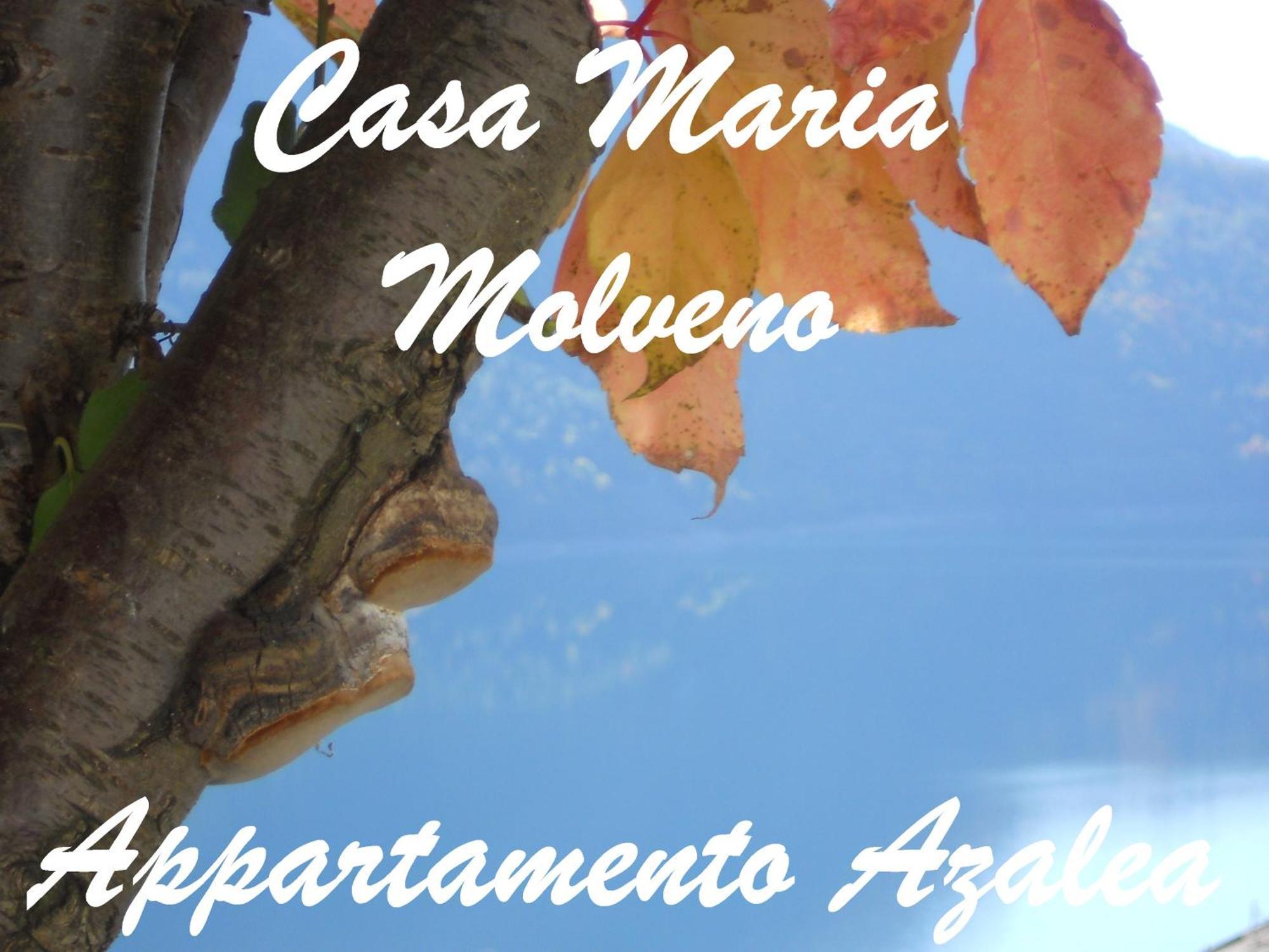 Casa Maria Apartment Molveno Bilik gambar
